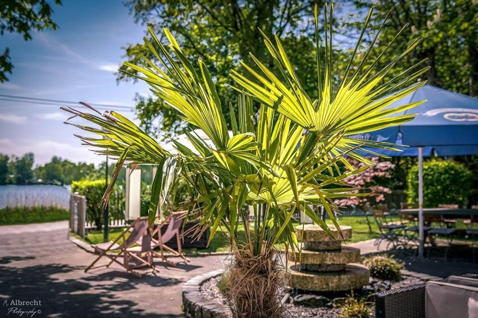 Sopherl Am See - Fruehstueck Auf Der Seeterrasse, Sehr Ruhig Und Wunderschoen Am See, 3 Minuten Nach Oberpfaffenhofen, Viele Radtouren, Restaurants & Cafes In Der Umgebung Wessling Luaran gambar